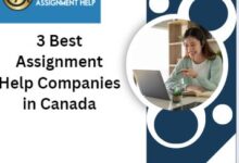 3 Best Assignment Help Companies in Canada