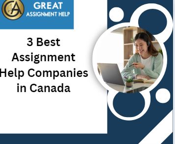 3 Best Assignment Help Companies in Canada