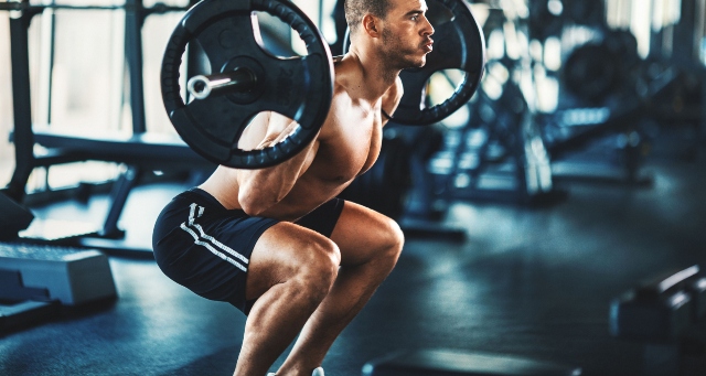 wellhealth how to build muscle tag