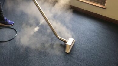 Carpet Cleaning Services