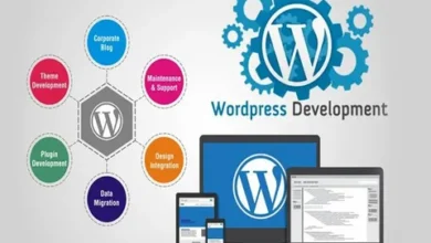 WordPress Agency