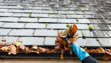 Gutter Cleaning Company